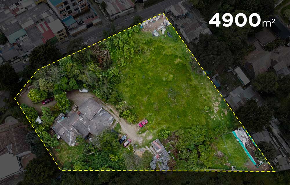 Image-3
